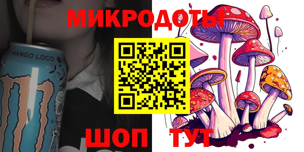 Псилоцибиновые грибы мухоморы Звенигород