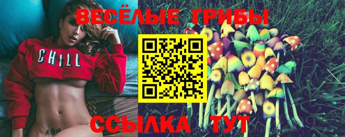 Звенигород  Галлюциногенные грибы мухоморы  Вход с VPN 